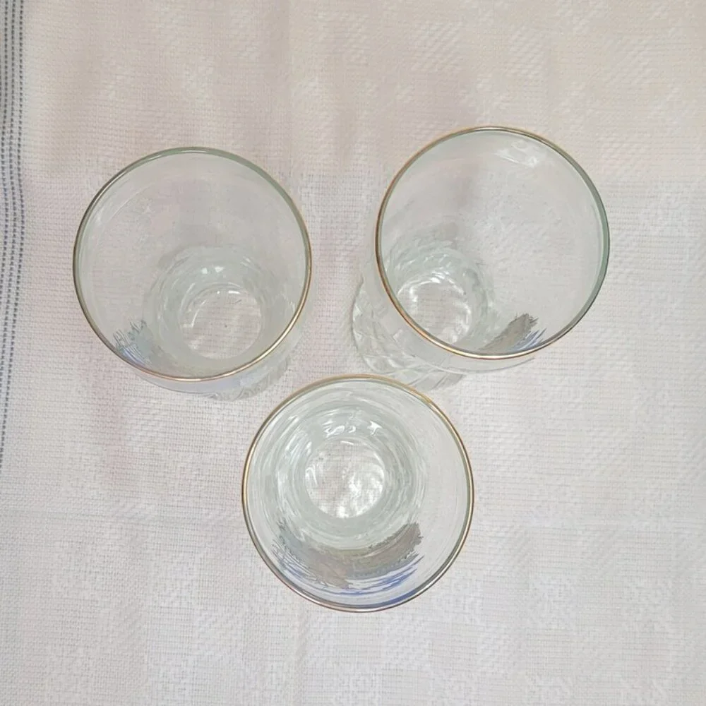 Vintage German Volksmarch Glass Beer Mug with Gold Rim - WF Schonau 1991- 1glass
